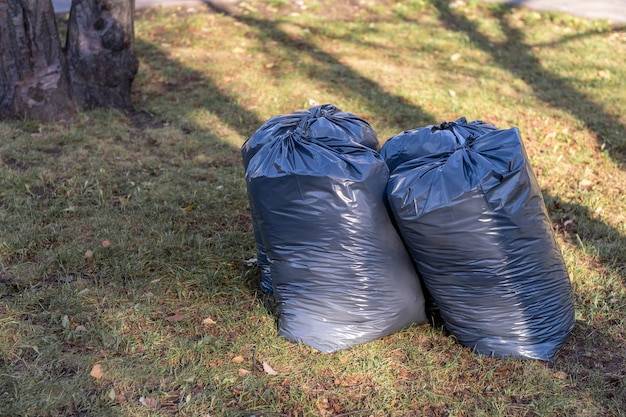 Jak wybrać worek na śmieci 35l 15 sztuk w opakowaniu?