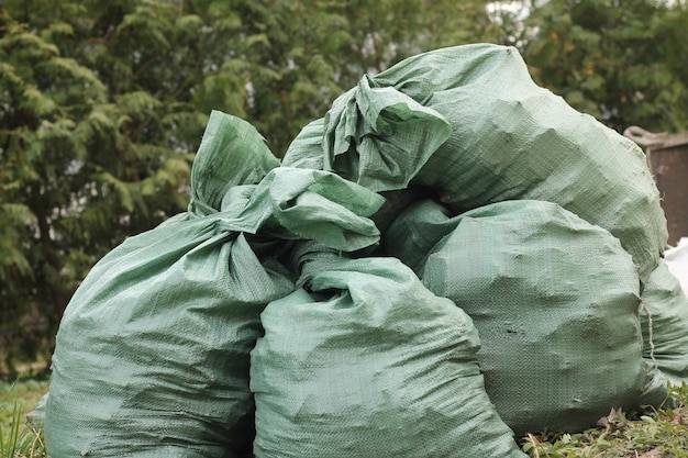 Jak wybrać worek na śmieci kompostowalny 60l 10 sztuk Novigo?