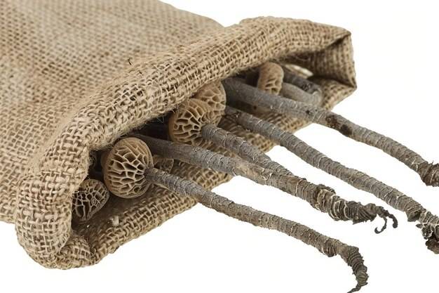 Jak wybrać worek raszlowy 30kg bordo sznurek 100 sztuk do przechowywania warzyw?